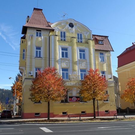 Pension Elektra Mariánské Lázně Kültér fotó
