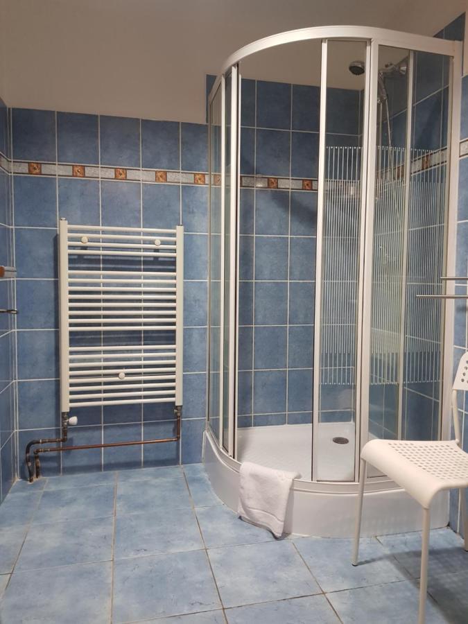 Pension Elektra Mariánské Lázně Kültér fotó