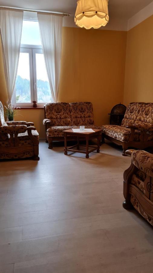 Pension Elektra Mariánské Lázně Kültér fotó